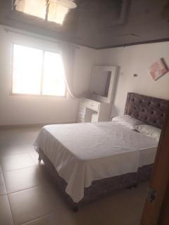 Apartamento montenegro - Montenegro - 3
