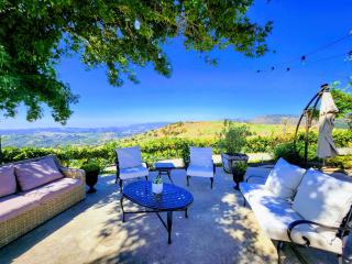 El cielo Vineyard - Temecula - 3