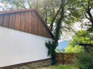 Dvůr Metlice - Rožmberk nad Vltavou - 1