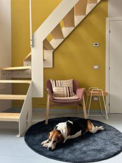 Casa I Merletti - - 0