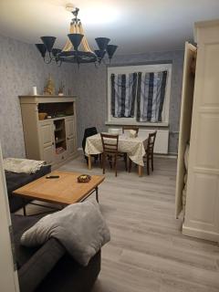Ferien-arbeiterwohnung-Suhl - Suhl - 4