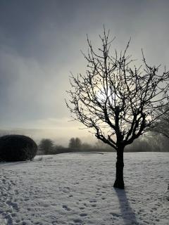 Moorland View Lodge - 1