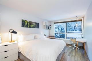 One block walk to gondola, ski lockers downstairs, River Trail close by! - 6