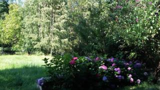 Chalet Marina - 5