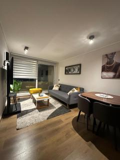 Amplio departamento en zona céntrica de Concepción - 9