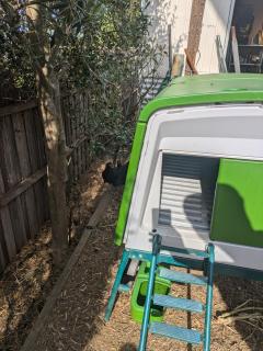 Tree House Jan Juc - Torquay - 5