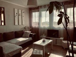 Cozy'Maisonnette Brest Guip - Guipavas - 9