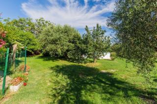 Apartment Lili - Umag - 1