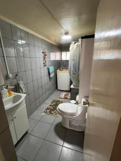 Roomtraiguen - Lehuelán - 4