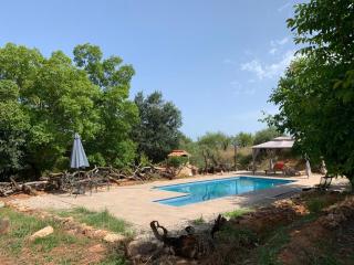 Mas de Paco, Chimenea, barbacoa y piscina - 9