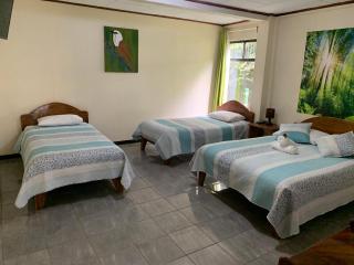 Globi Lodge #3 - Monteverde - 9