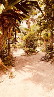 La Caleta - Mompiche - 6