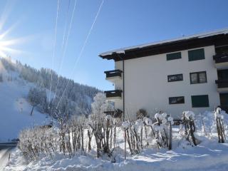 My Mountain next door - 3