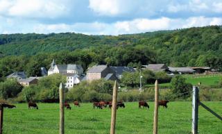 Belgium your low-cost stays in luxury gites - Hamoir - 5