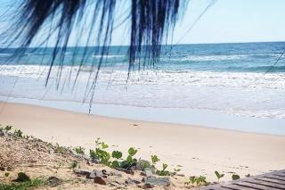 Licuri Praia de Algodões à poucos passos do mar. - Marau - 9