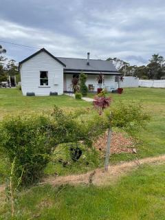 Tassie Shack - - 0