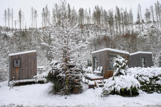Sleep Space 28 - Green Tiny Village Harz - 5
