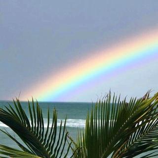 Licuri Praia de Algodões se hospedar na beira mar - 6