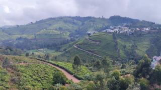 Misty 39 Hills View Resort - Coonoor - 2