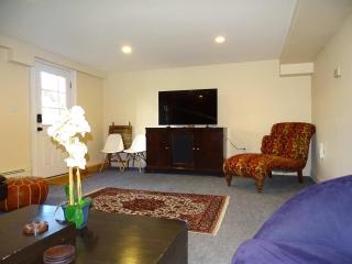 Spacious Apartment in Beautiful Area of Weston - Newton - 9