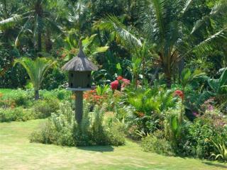 Villa Belanda Balian - Balian - 7