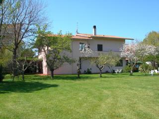 Hotel Ristorante Vecchia Maremma - Orbetello - 3