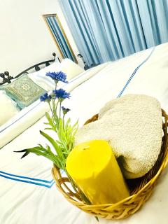 Sea Breeze Guest House Negombo - Negombo - 0