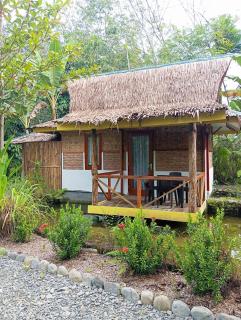 Magpie homestay & jungle trekking especially for guest trekking with us - Bukit Lawang - 7