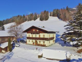 Apartment with Garden, Garden Furniture, BBQ - Taxenbach - 4