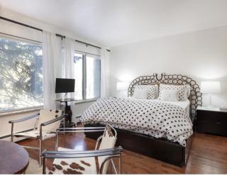 Perfect Inside Downtown Aspen Location! Romantic 1300 ft, 4 Blocks or 396 m, to AJAX or Aspen Mountain - 3