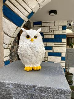 Fukurou House - Tokyo - 8
