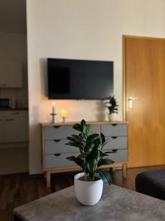 Boardinghouse Plauen im Zentrum der Stadt - Plauen - 3