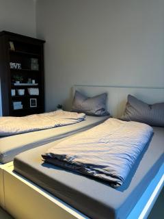 Ruhige Ferienwohnung mitten im Zentrum - Plauen - 5