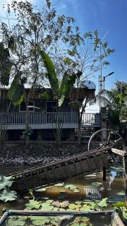 PICHA Cafe&Homestay - Sara Buri - 8