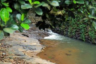 Snow Hills Resorts - 4