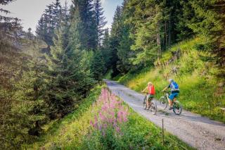 Alpenlodge Madau - 5