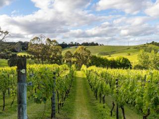 The Nest - Warkworth - 4
