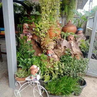 บ้านจัสมิน - Sukhothai - 2