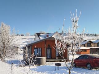 Family House Volosianka - Volosyanka - 8