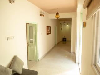 Ferozi House x Free Birds - Jaipur - 9