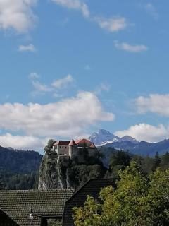 Apartma Tanya Bled - Bled - 9