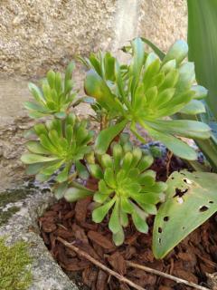 Casa dos Livros - Guest House - 4