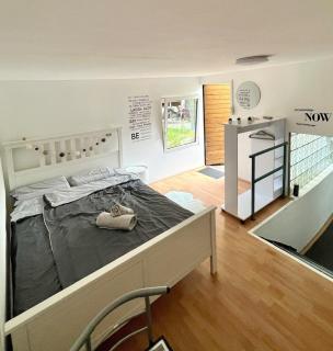 Apartment mit Garten Heidelberg - Nähe Universitätsklinikum Neuenheim - Heidelberg - 9