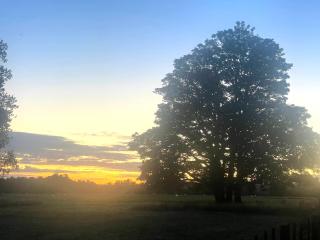 Oultan Homestead Farm Stay - - 9