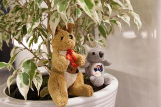 K-Grand Hotel Myeongdong - Seul - 5