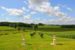 Superbe Château et son Gîte de Château de l'Estang à Saint Emilion - Saint-Genès-de-Castillon - 6