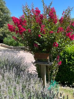 Le Logis d'Eve - Najac - 5
