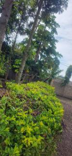 Lambatini Homestays & Lodges - Arusha - 3
