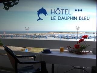 Le Dauphin Bleu - Saintes-Maries-de-la-Mer - 0