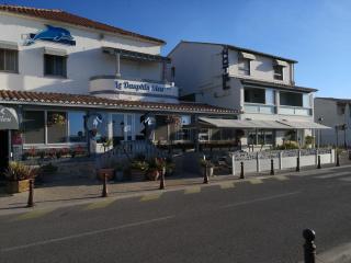 Le Dauphin Bleu - Saintes-Maries-de-la-Mer - 2
